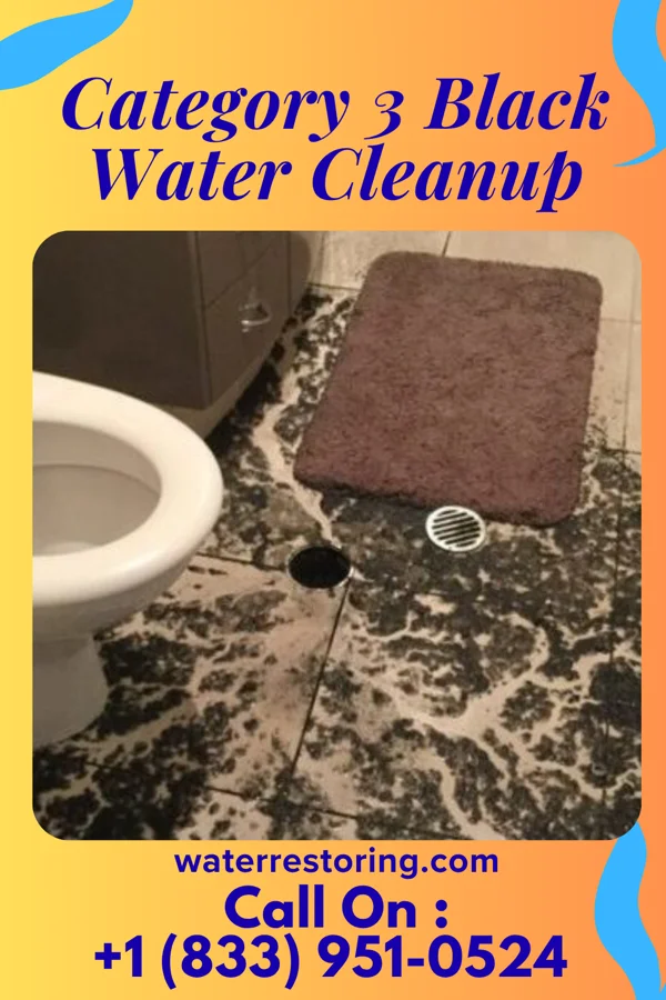 Category 3 Black Water Cleanup in Danville, KY