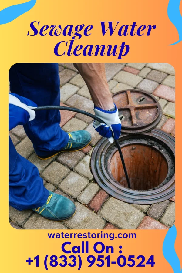Sewage Water Cleanup in Danville, KY